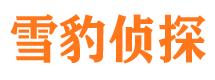 大埔侦探公司